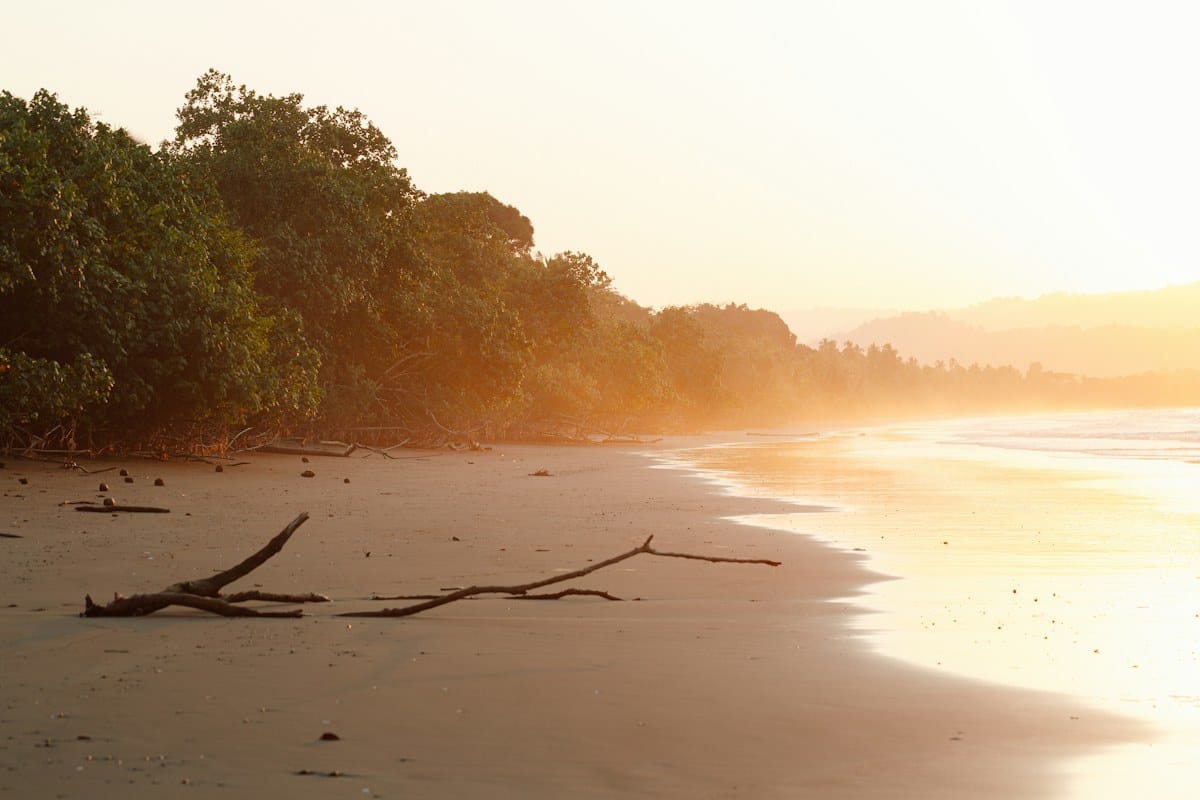 Playa de Nuquí en el Chocó, entre el océano Pacífico y el bosque costero